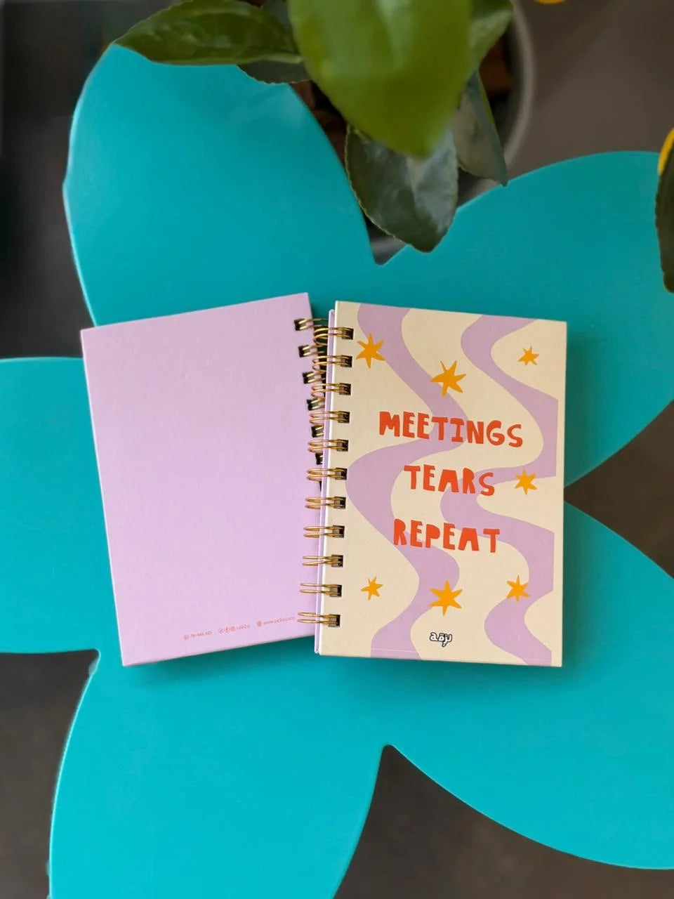 Meetings, Tears, Repeat Hard Cover Mini Notebook