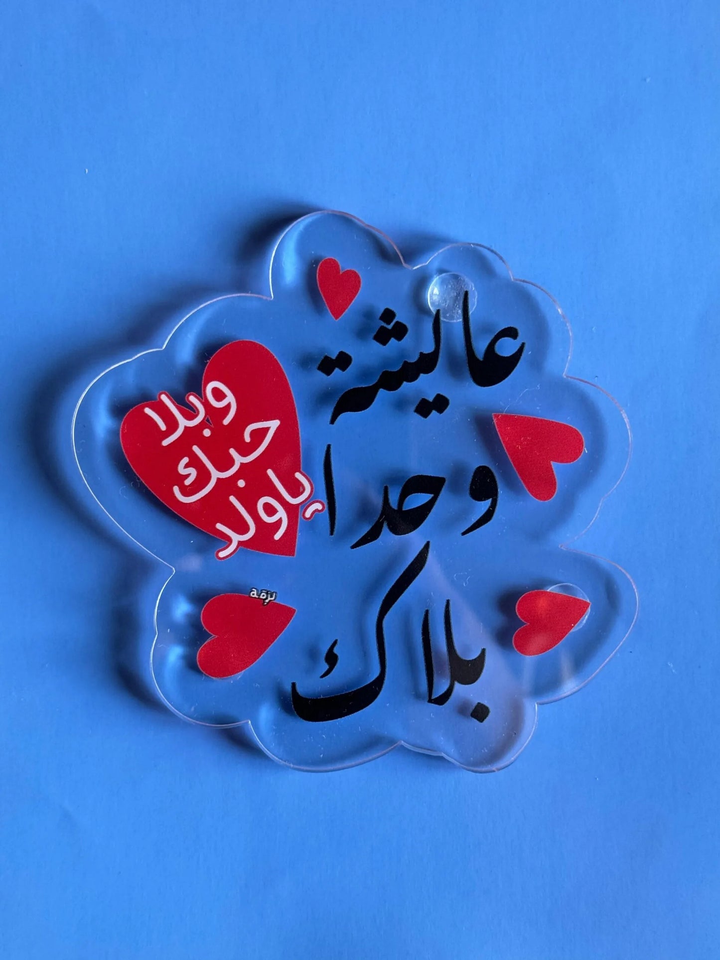Aayshi wahda balak coaster