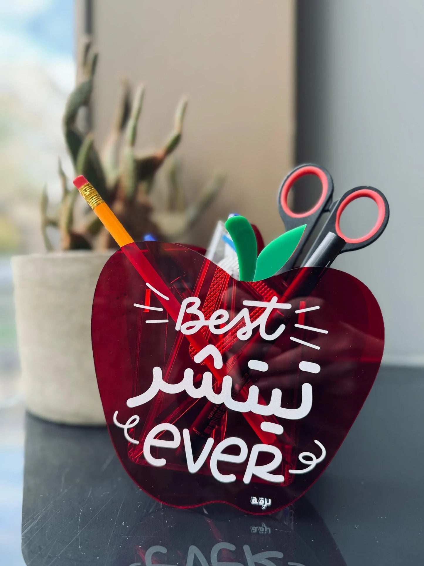 Best Teacher Ever Pen Holder