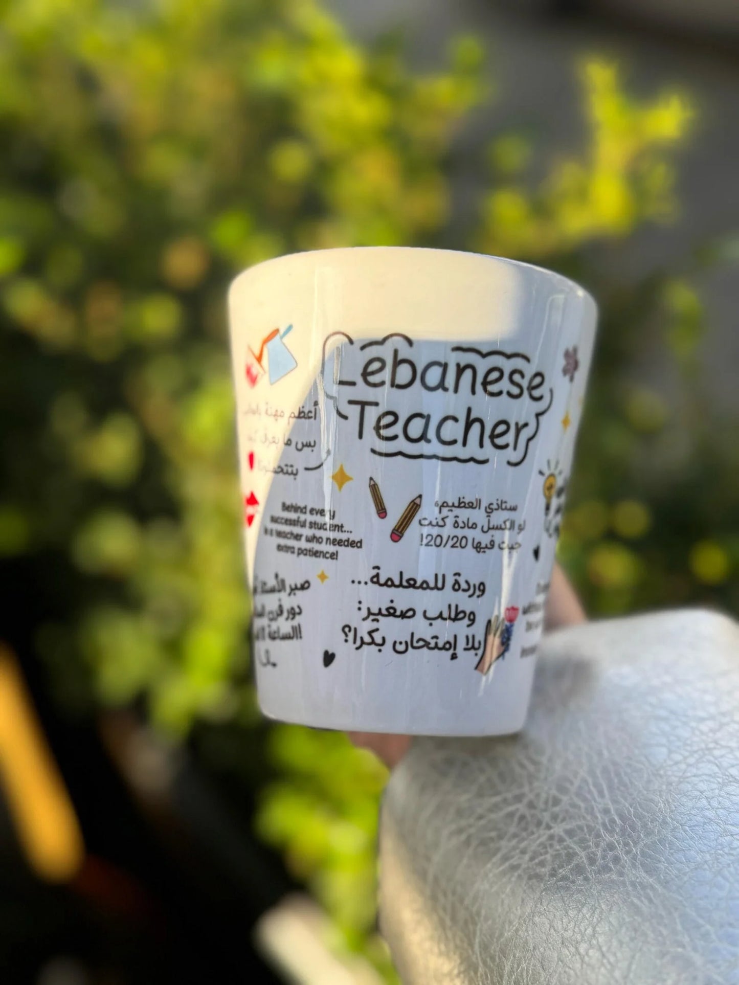 Funny Lebanese Sayings Mug
