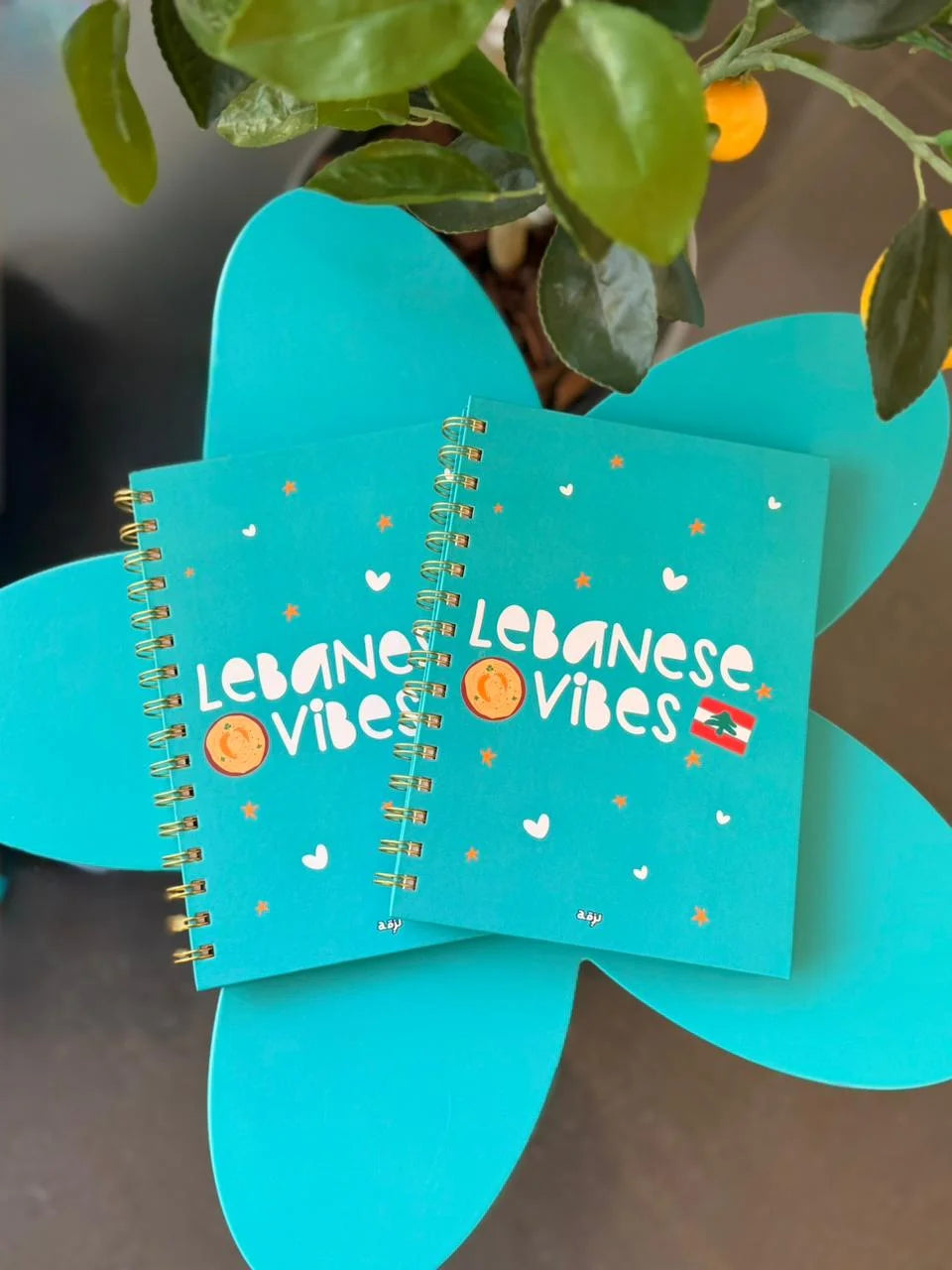 Lebanese Vibes Hard Cover A5 Notebook