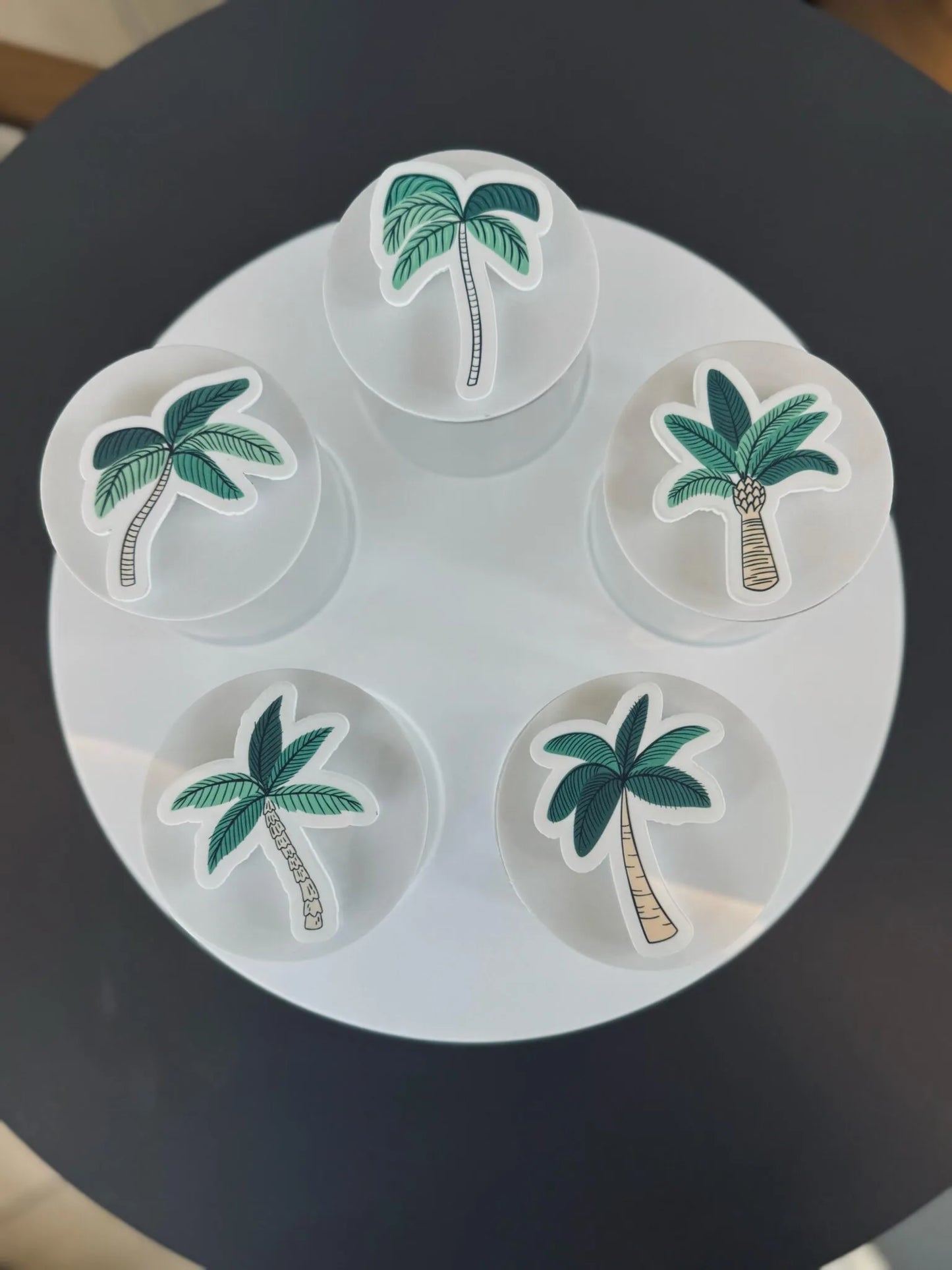 Palms Big Tray + 5 Boxes