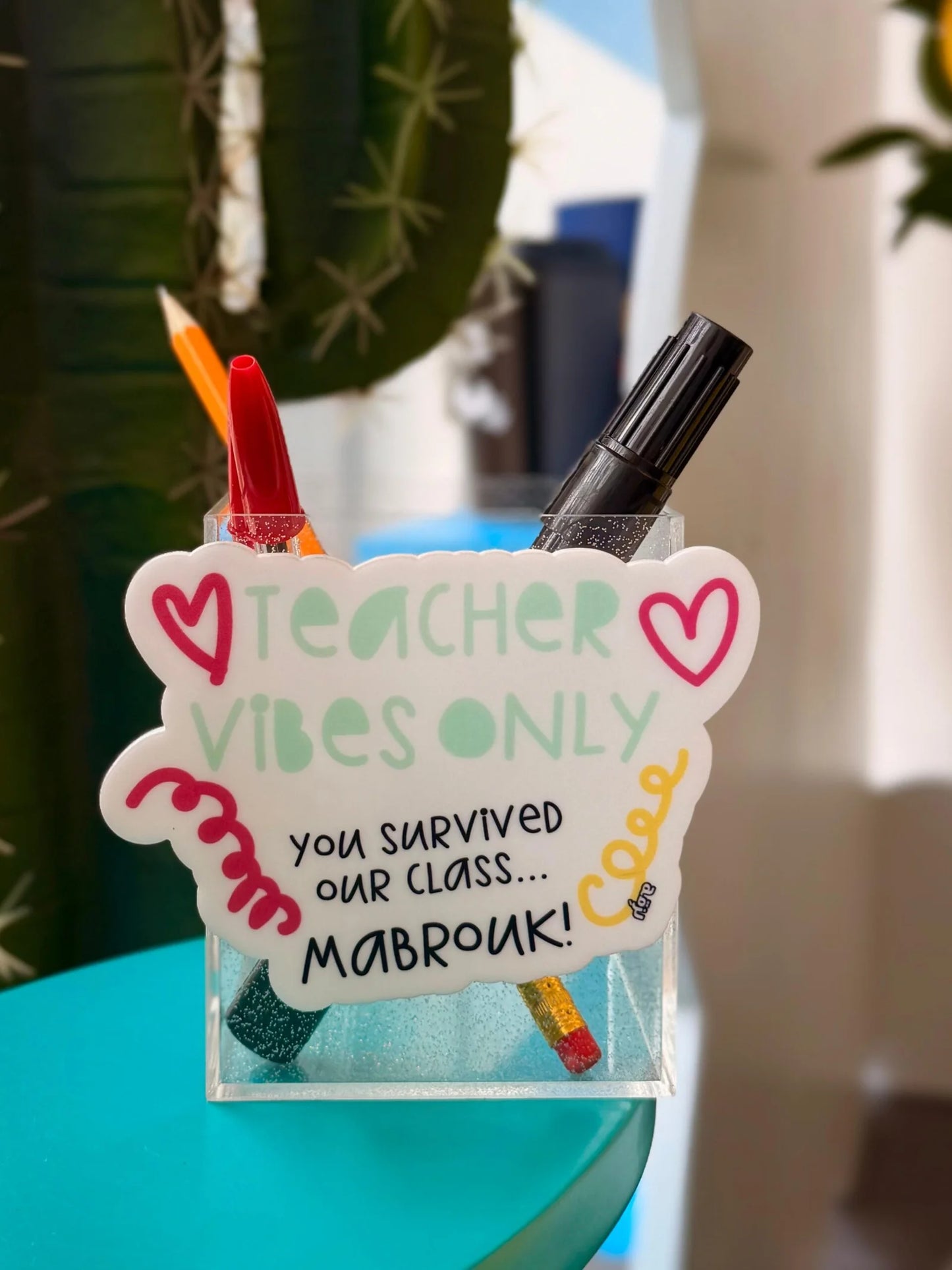 Teacher Vibes Only Pen Holder