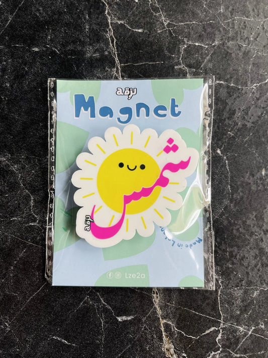 shames magnet