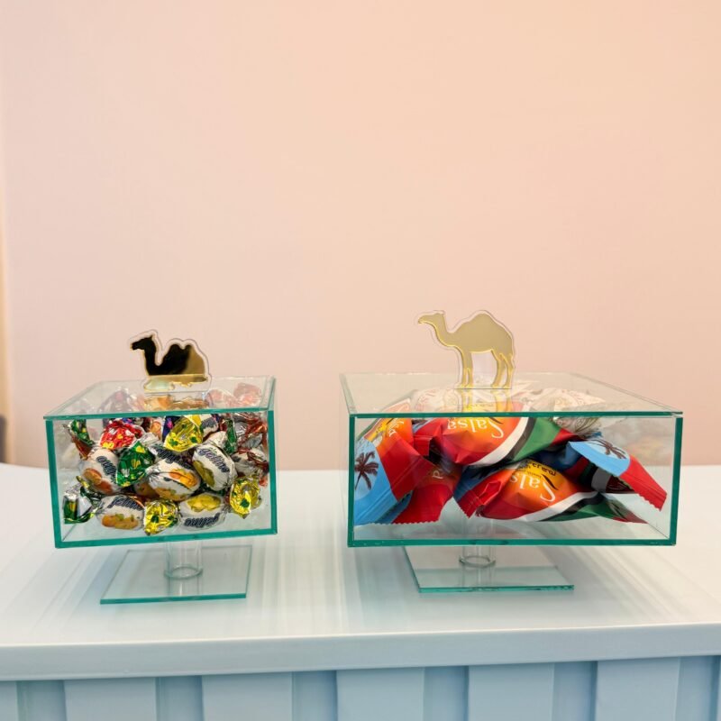 Camel Set Transparent Light Green