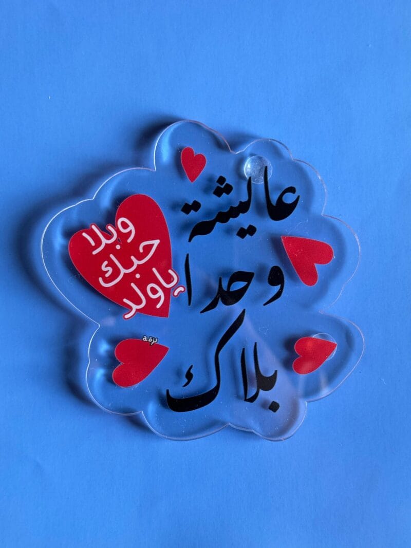Aayshi wahda balak coaster