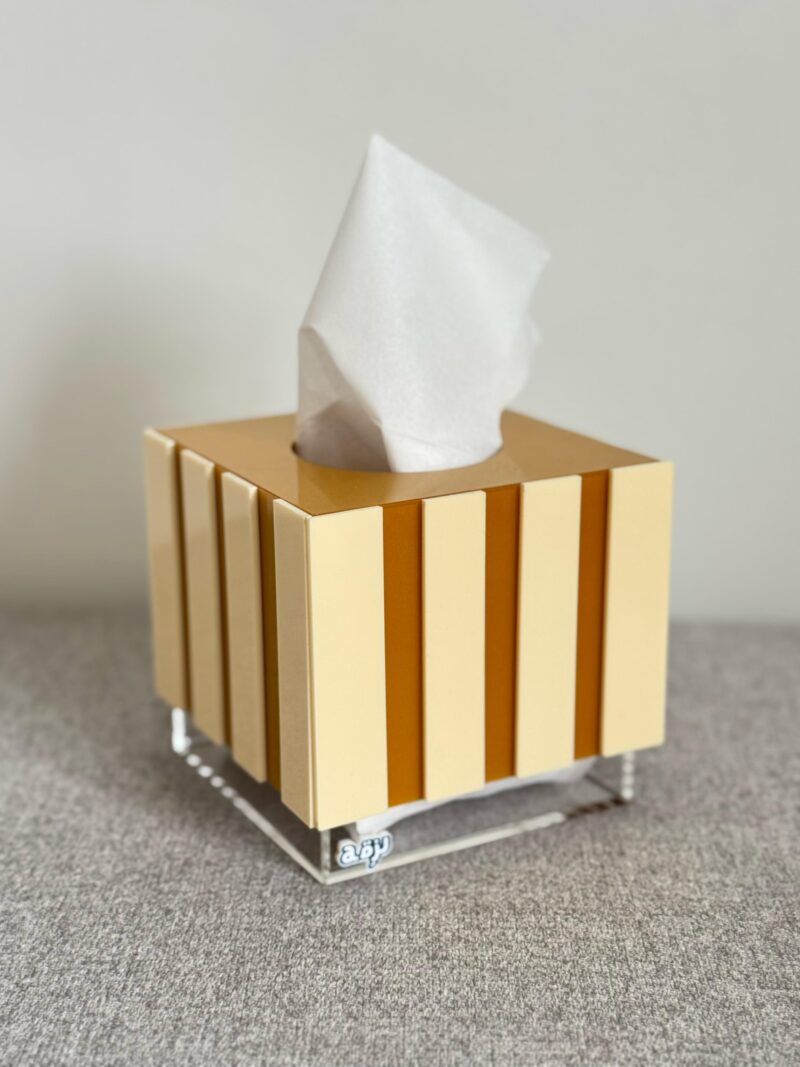Simple Lines 3D Tissue Box