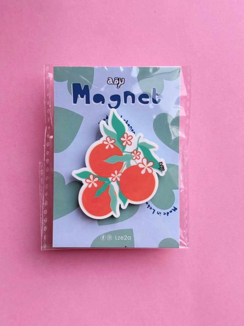 Oranges Magnet
